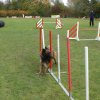 agility 2011-10-30